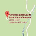 Armstrong Redwoods