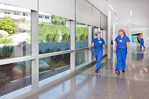 Photograph of the Lakeview Terrace Gardens at MarinHealth Medical Center