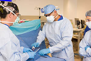 Photograph of Surgeons in the Operating Room at MarinHealth Medical Center #2