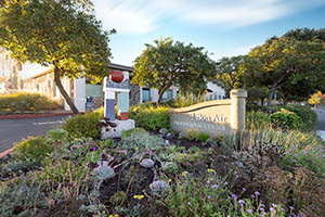 Photograph of the Exterior of MarinHealth Spine Institute